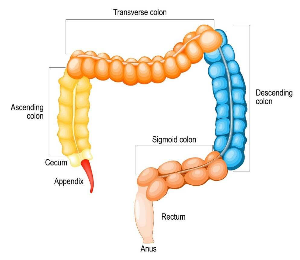 You need a Colonic FAFAA First Aid for Asthma Attacks